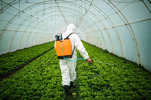 Best Pest Removal Services  in Hellertown, PA