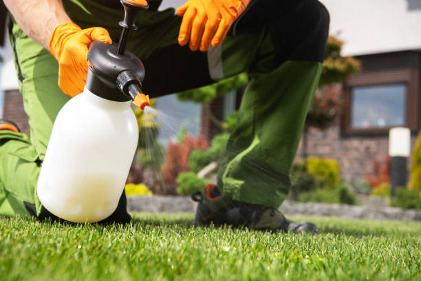 Best Pest Control Near Me  in Hellertown, PA