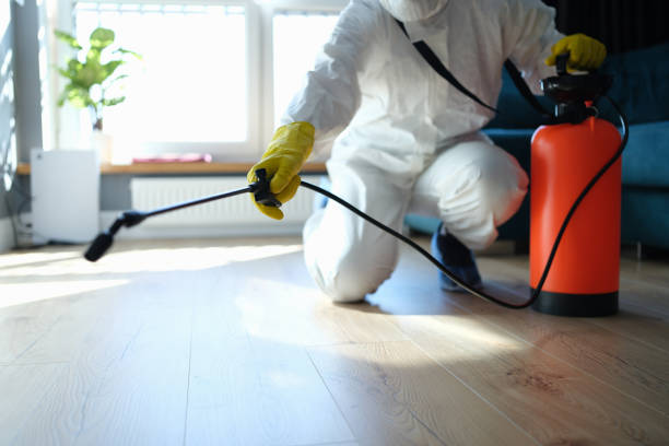 Best Flea Control Services  in Hellertown, PA